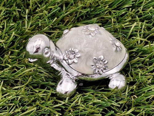 Schildkröte perlmutt optik - schildkröte,