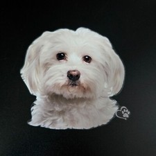 Aufkleber Sticker Hund