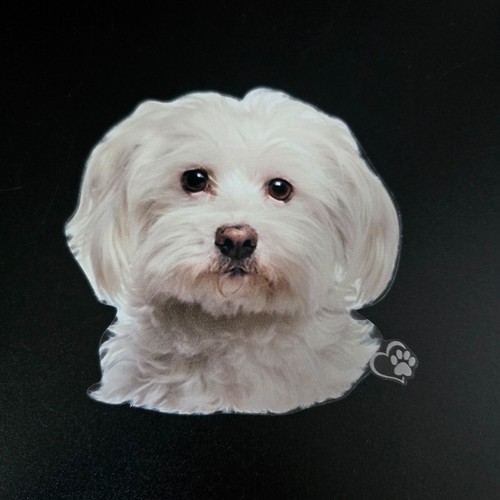 Aufkleber sticker hund - aufkleber,