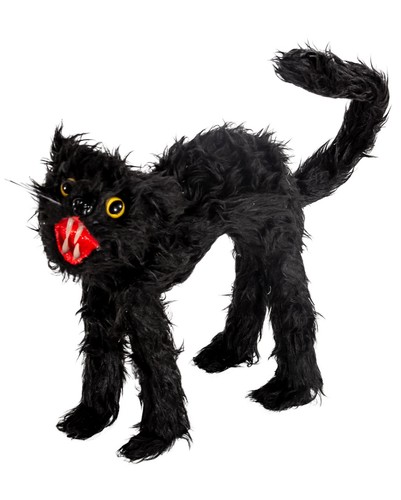 Fauchende katze als - katze, deko