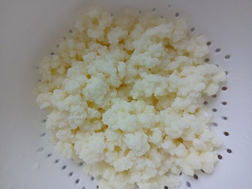 Milchkefir teelöffel voll - milchkefir,,