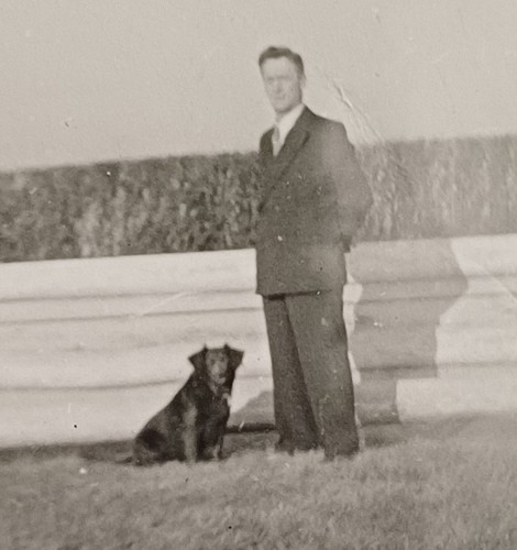 Mann steht mit seinem hund - steht,