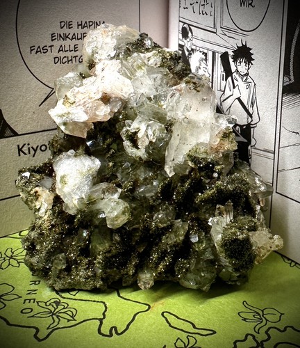 Forest quartz epidot an - forest,