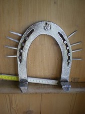 echtes Hufeisen lackiert mit