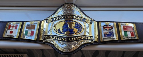 Wwe official hogan - hogan, 86