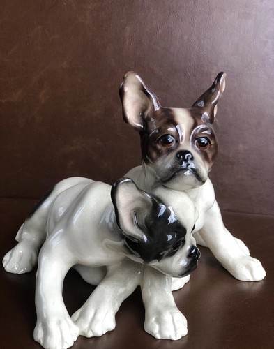 Zwei französische bulldogge - zwei,