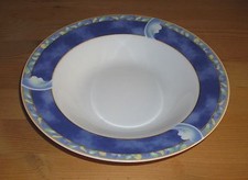 van Well, Wellco Design 1 Suppenteller mehrfarbiges Dekor