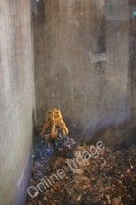 Foto 6x4 Grab am Lerwick Abfall-Energie-Anlage Heogan Der Greifer wiegt c2010