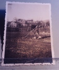Altes Foto Frau bei der Gartenarbeit Landwirtschaft um 1930  (290)