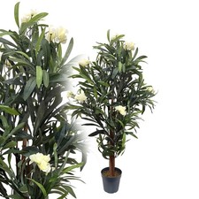 Oleander creme 120 - oleander,
