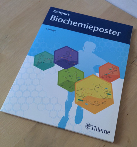 Thieme endspurt - -,