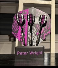 Peter wright world champion - peter,