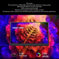 15.6 Zoll Portable Monitor