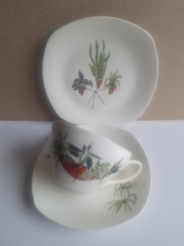 Midwinter plant life tasse - midwinter,