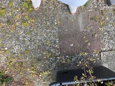 Waschbetonplatten 50x50 cm 