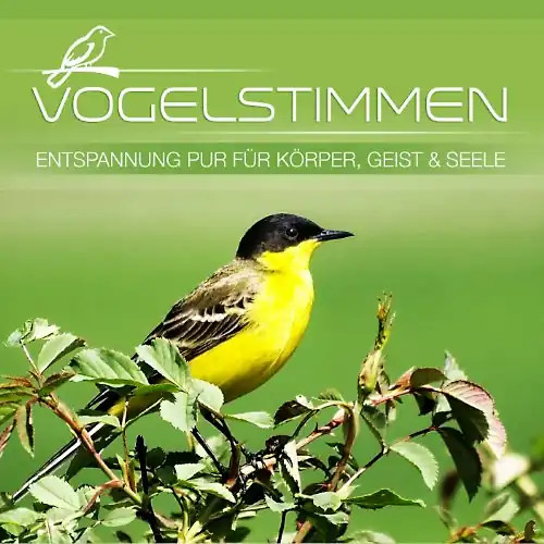 Various vogelstimmen - various,