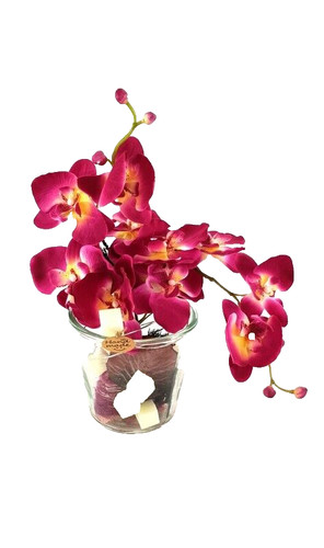 Casa poador orchidee - -,