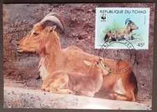 Tschad 1988 Maximumkarte WWF Mähnenspringer (Ammotragus lervia)