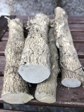 Holz Drechselholz vom Buchsbaum 