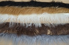 Tibetlamm Fellstreifen