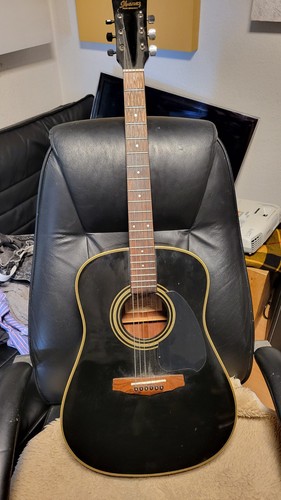 Ibanez 10bk performance - pf-10bk,
