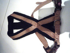 Geschirr Hundegeschirr TRIXIE Gr.XS hellbraun gepolstert kaum getragen wie neu