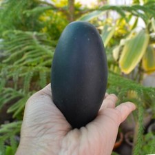 Black Shiva Lingam Black 3"