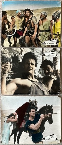 Sohn des spartacus - sohn,