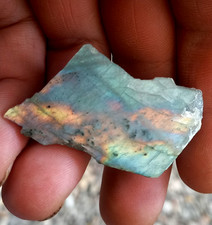 Klein aber Fein Poliert