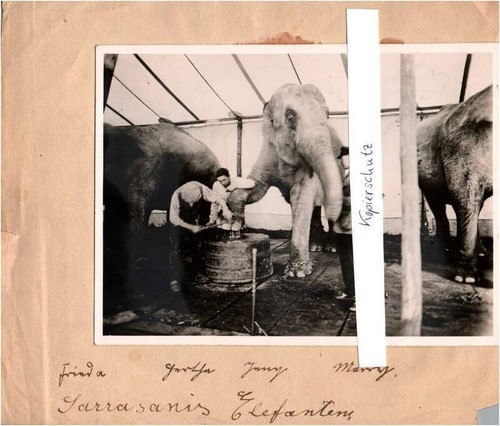 Foto sarrasani zirkus - sarrasani,