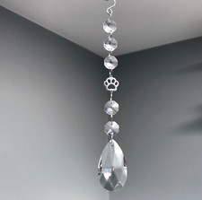 Neu Katze Hund Pfote