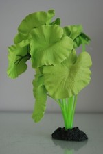 Aquarium Lotus Blatt Grün