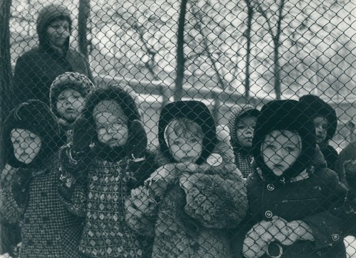 Lev silber kinder - kinder, in