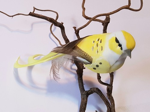 Gelber vogel mit - mit,