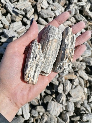 Steinrinde gneis zierkies grau - gneis,