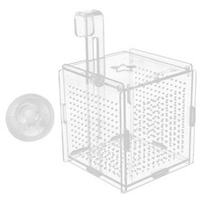 Aufzuchtkasten aquarium - ,