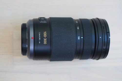 Panasonic lumix vario - g,