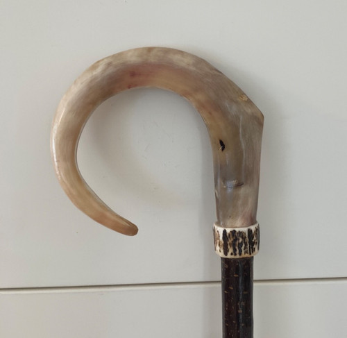 Hoher rams horn - hoher, crook