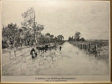Antique Illustration 1893