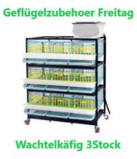  Wachtelaufzuchtbox für 105-120 Wachteln