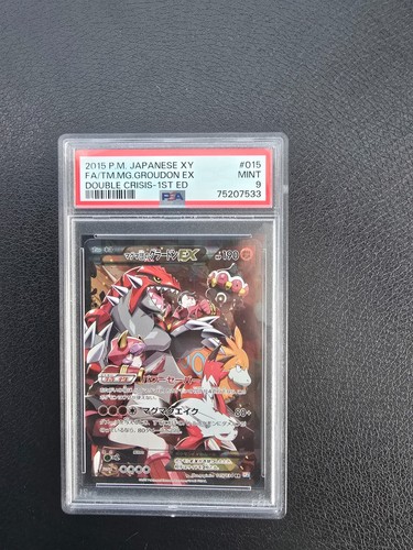 Team magmas groudon double - magmas, ex