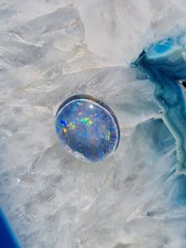 Schöne große Australische