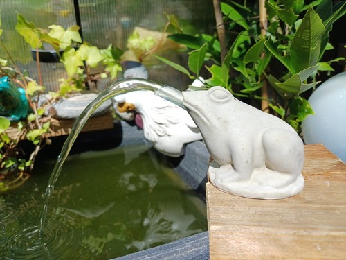 Frosch wasserspeier beton - wasserspeier, +