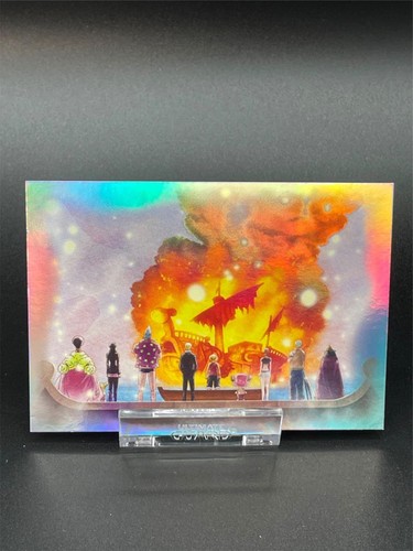 Panini one piece 25th - one,