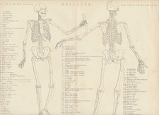 STAHLSTICHE: Ca. 1880: Medizin
