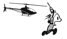 Renn! (T-Rex 600 EFL)