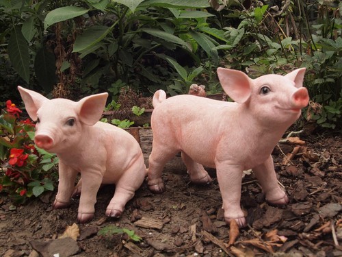 Schwein ferkel deko figur - deko,