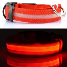 Hundehalsband Leuchthalsband