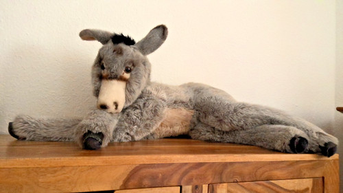 Sammlerschatz steiff - sammlerschatz,
