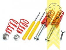 TA Technix Gewindefahrwerk